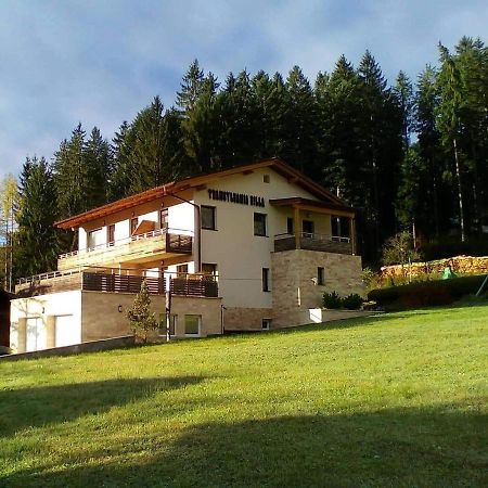 Transylvania Villa & Spa Gosau Eksteriør billede